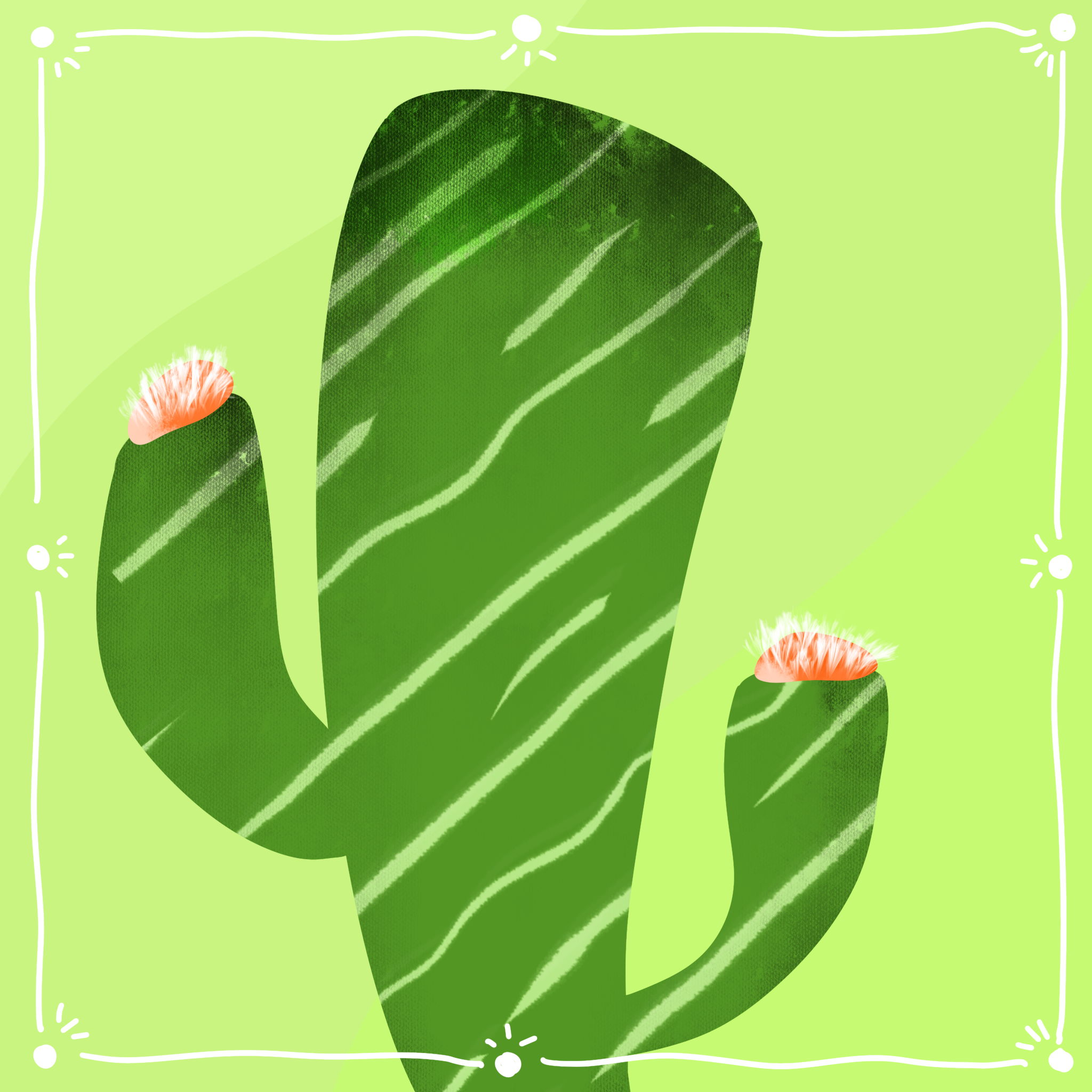 cactus